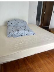 Alexis (D3), Apartment #580829541